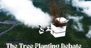 Mengapa menanam pohon termasuk kegiatan menghemat energi
