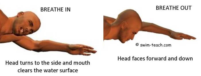 Head position freestyle swimming matters why noticeable yang ledecky surge katie phelps freestylers elite speed such michael sun create Teknik pengambilan nafas renang gaya bebas posisi kepala adalah